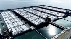 单独释放石油战略储备，日本最先扛不住了