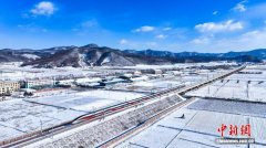 沈白高铁首个春运收官：激活沿线文旅新动能